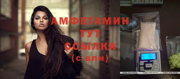 гашик Осинники
