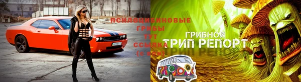 соль ск Арсеньев