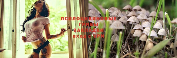гашик Осинники