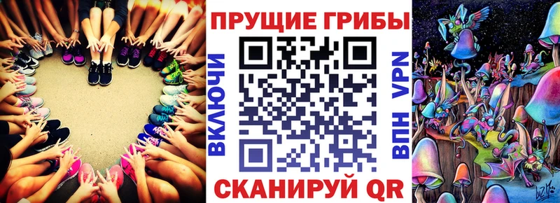 Галлюциногенные грибы Psilocybe  Зуевка 